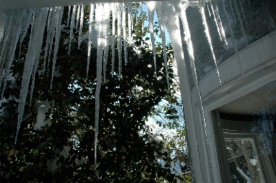 icicles 4.jpg